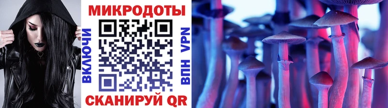 Галлюциногенные грибы Psilocybine cubensis  Елабуга 